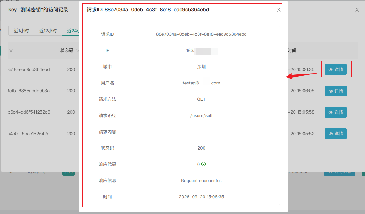API调用日志详情